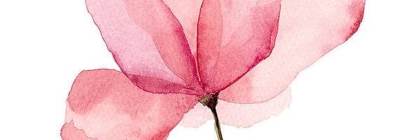 Aline Wirley's banner