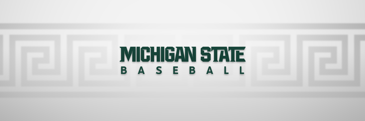 Michigan State Baseball's banner