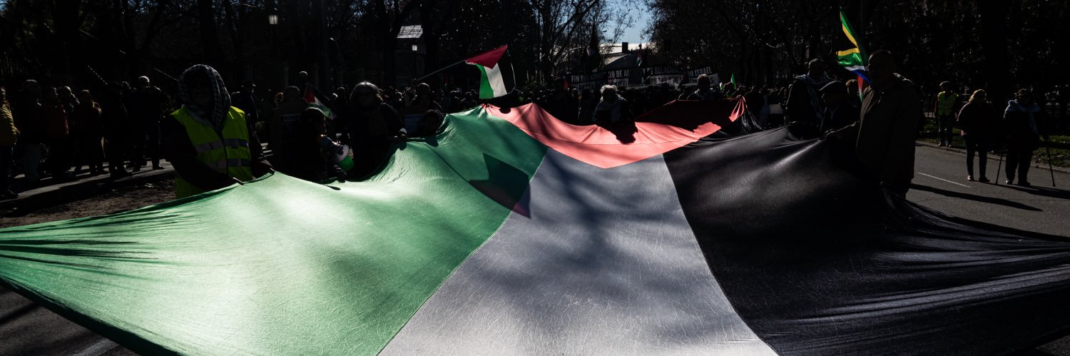 BDS Madrid 🇵🇸's banner