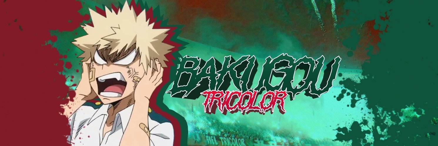 🇭🇺 BAKUGOU TRICOLOR 🇭🇺's banner