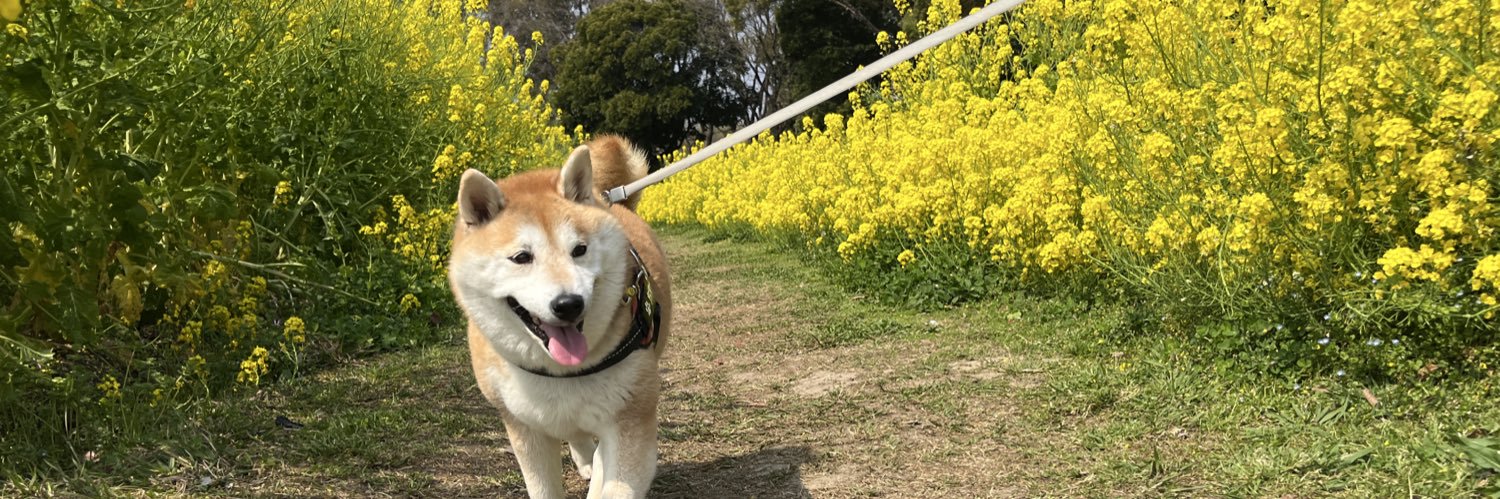 お庭's banner