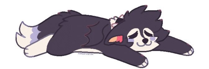 coffin!🐾🦴's banner