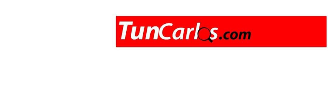 Tun Carlos's banner
