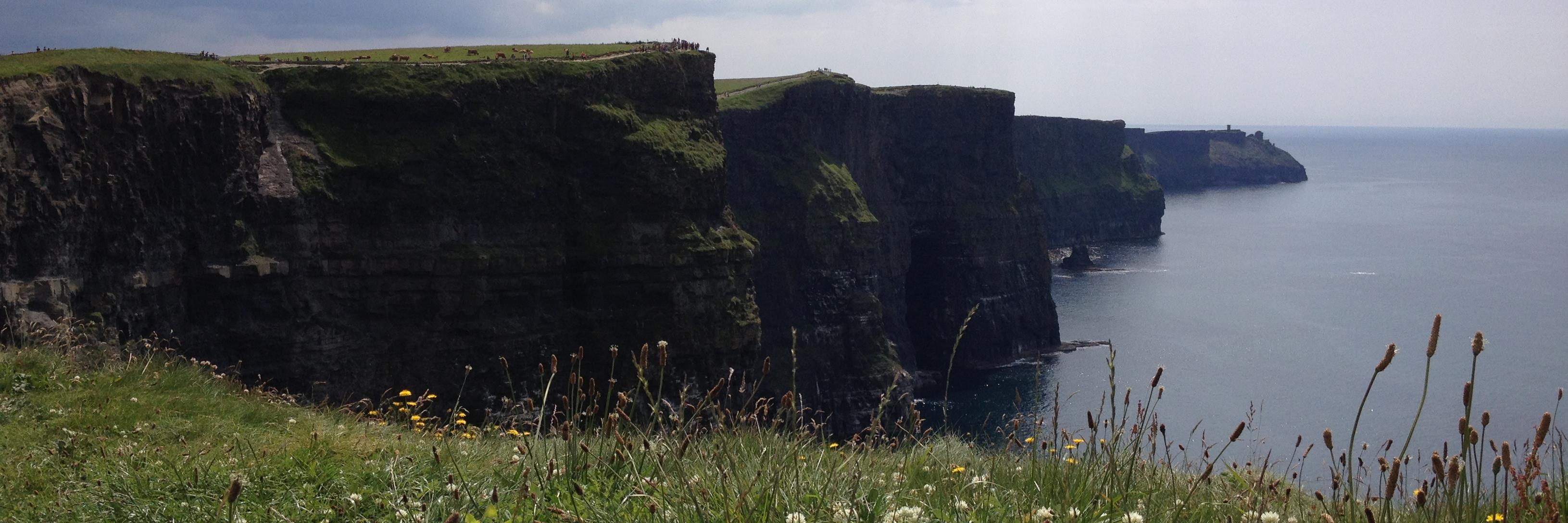 + Mark O'Connell's banner