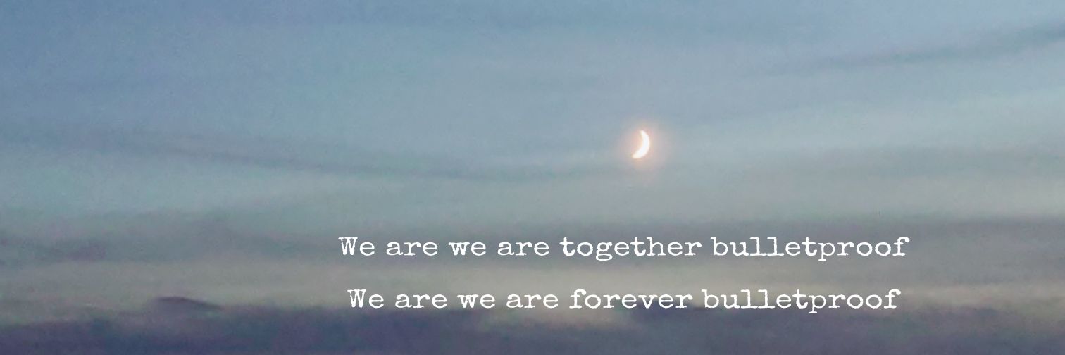 𝚂's banner