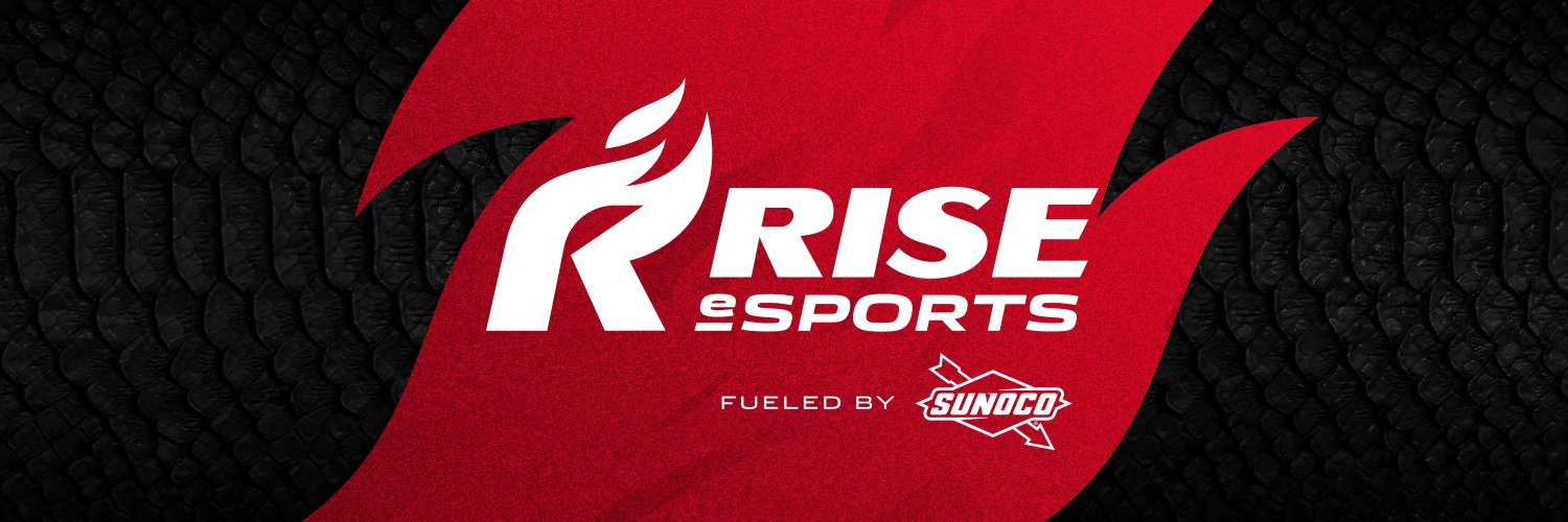 Rise eSports's banner