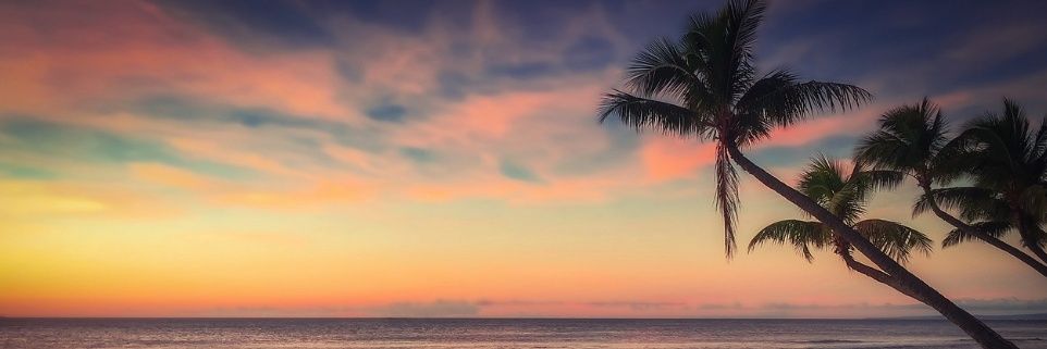 りゅうパパ🌊🏖️🌈🍦@KILLER INSTINCT's banner