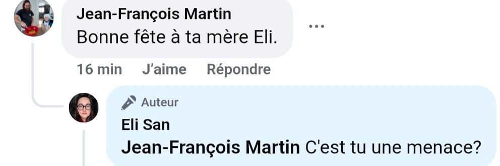 Jean-François Martin's banner