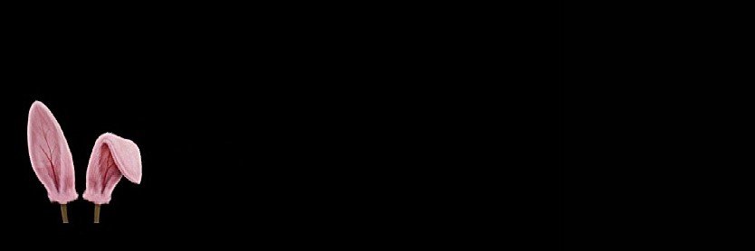 بانی سنپای🐰's banner