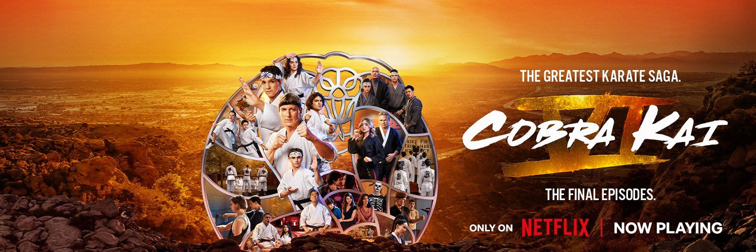 Cobra Kai's banner