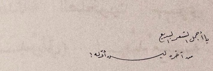 راويـة's banner