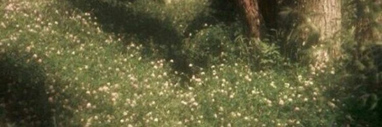 ximena🍋's banner