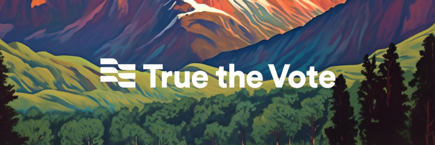 True the Vote's banner