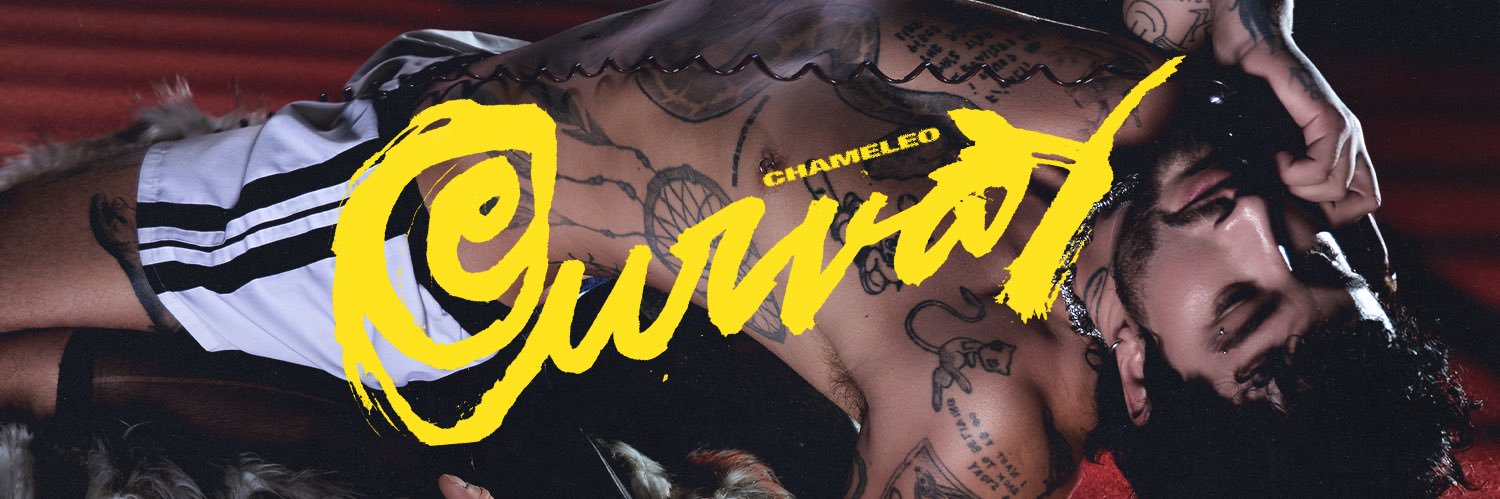 CHAMELEO 🦎's banner