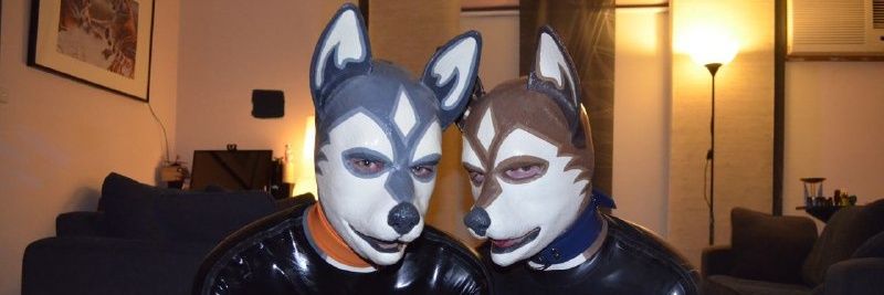 Rubber Pet 🦊's banner