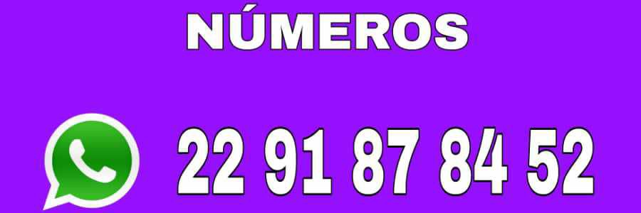 CLUB SW VENOM BLACK VERACRUZ PUERTO's banner