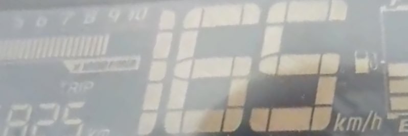 Tick's banner