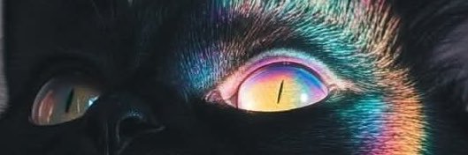Fromspace03's banner