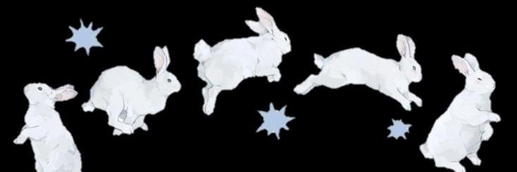 mzinho ⋆'s banner