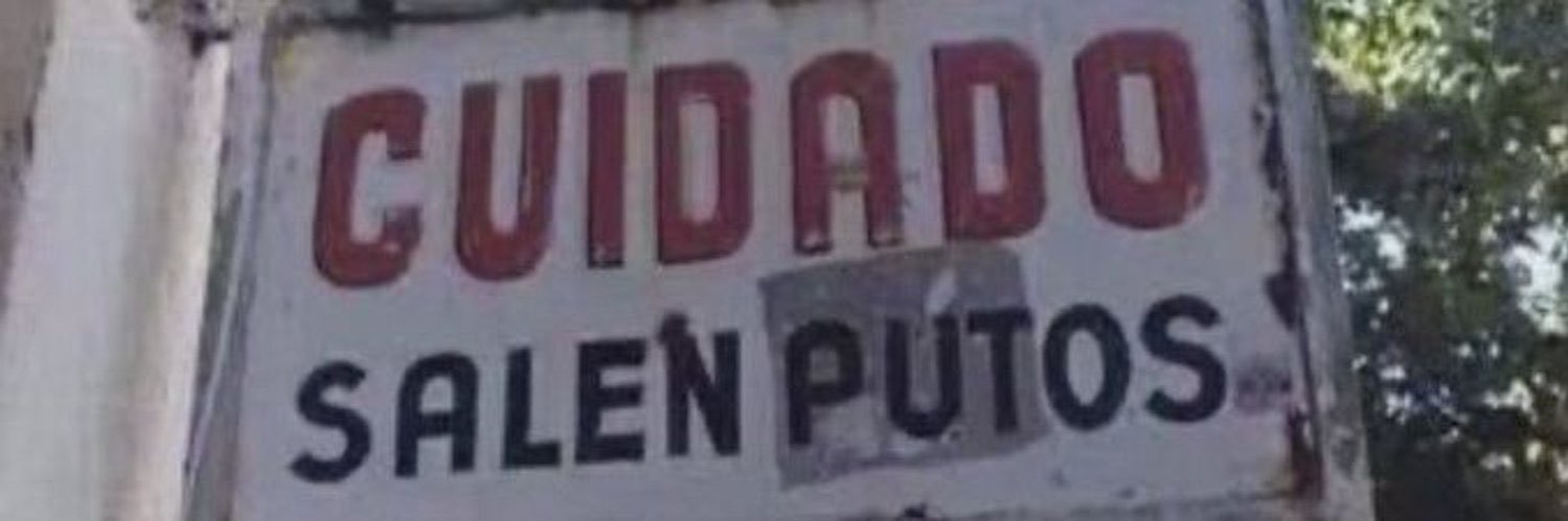 catona's banner