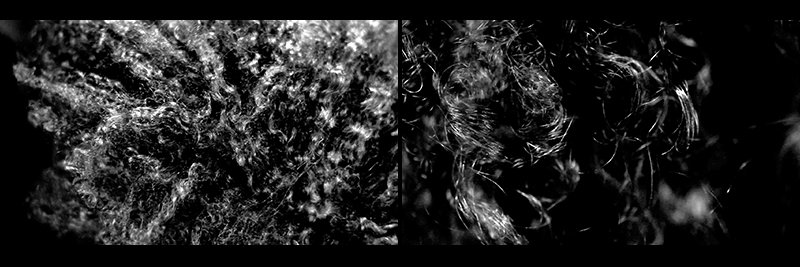 𓅪 Black.Bird.'s banner