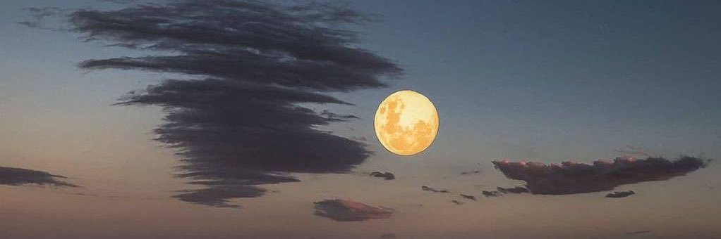 محمد أحمد الألمعي's banner