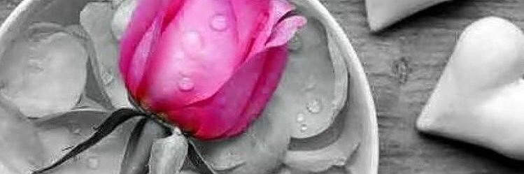 هلا العتيبي♥️'s banner