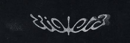 y's banner