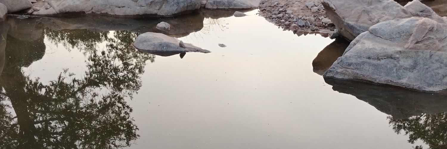 ََمســــاعــد العبدلي's banner