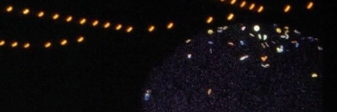 ℘𝚒𝚖𝚙𝚌𝚎𝚜𝚜 🫧's banner