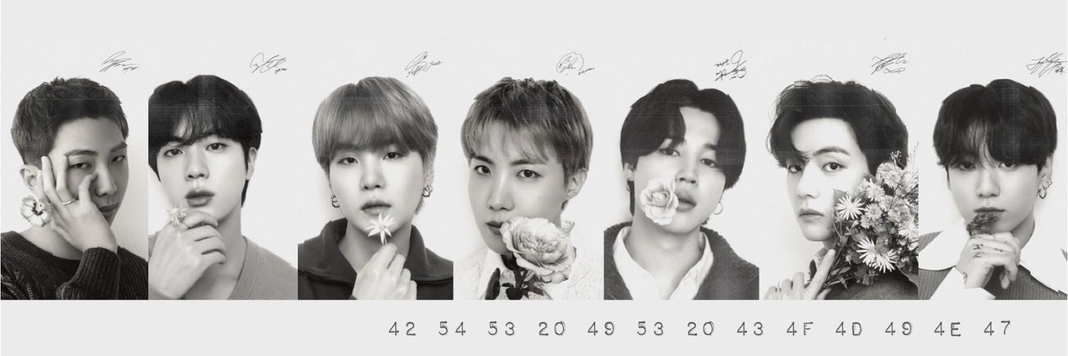 ⋆₊ﾟᴀᴍᴇᴛʜʏꜱᴛ⁷⋆☽˚⋆'s banner
