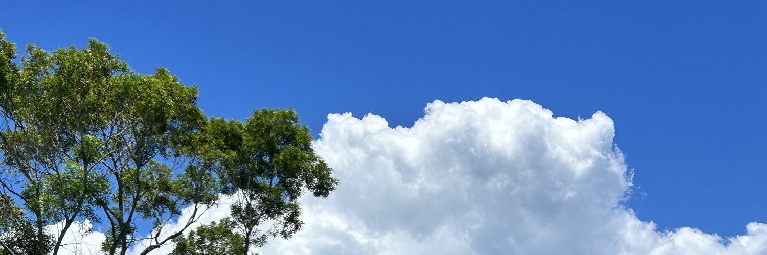shoggs's banner