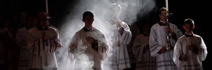 Traditional Catholic Education's banner