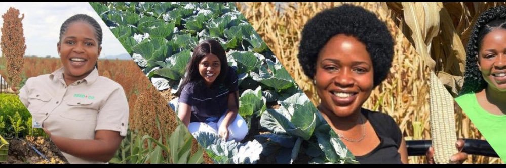 Wendy Matashu Madzura's banner