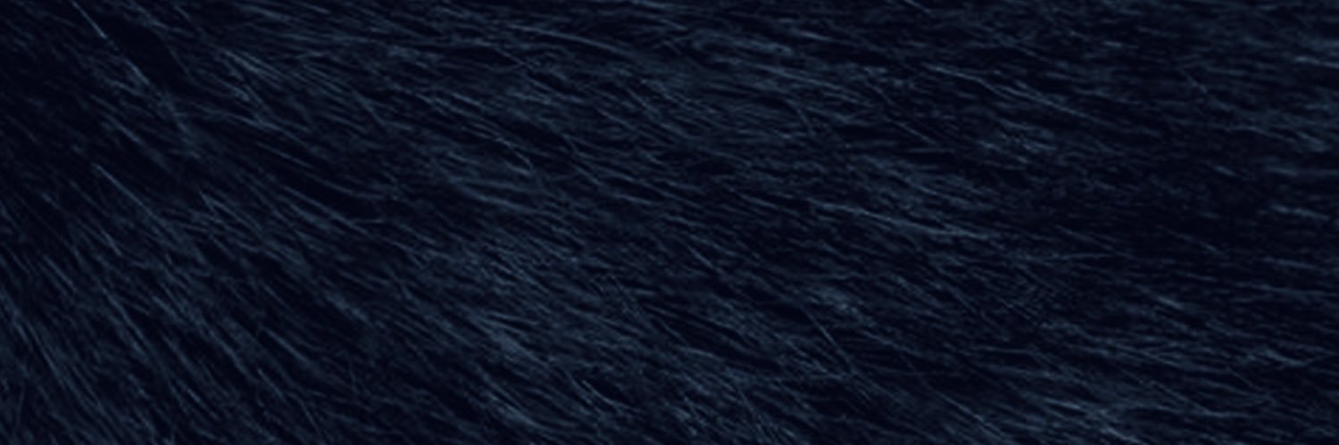 KOBY STAY's banner