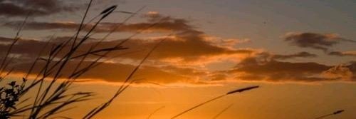 Pesona Senja's banner