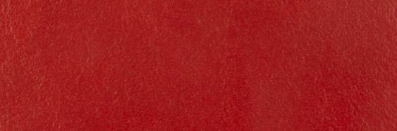 🫑's banner