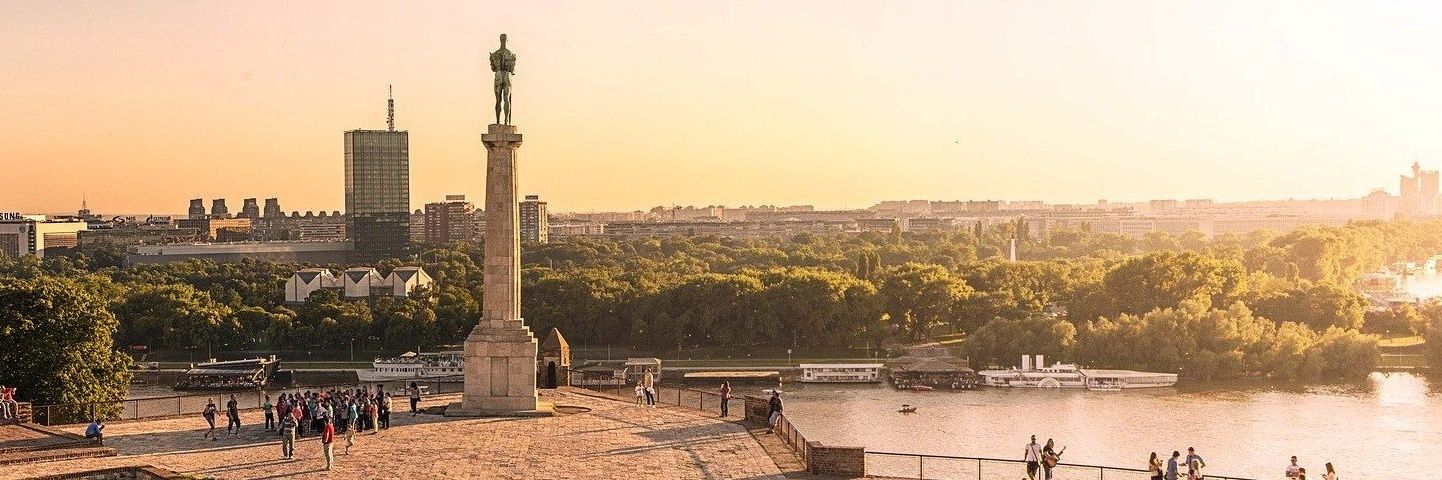 Aleksandar Šapić's banner