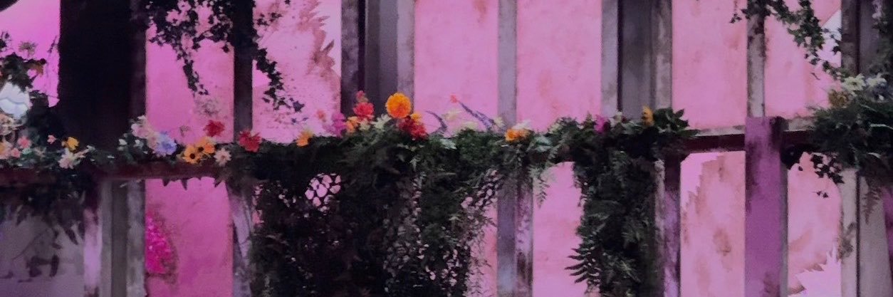 sam 🫯 2's banner