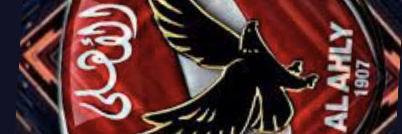 جمال ربيع's banner