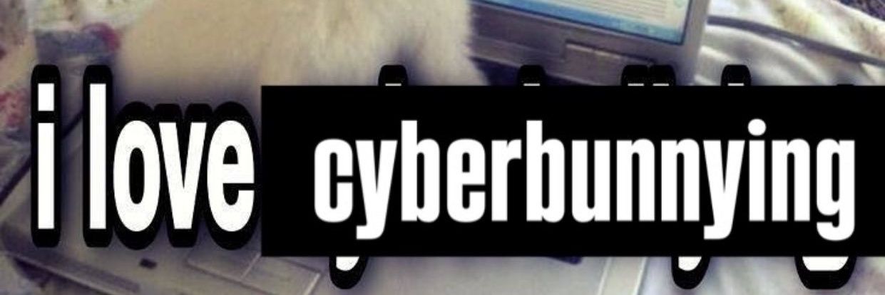 ☆°•bunnyboy lui•°☆'s banner