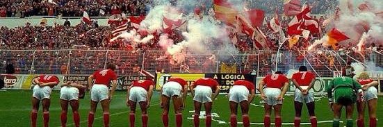 ADEPTOS DO BENFICA's banner