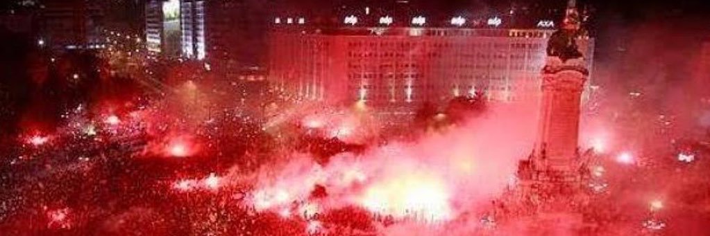 ADEPTOS DO BENFICA's banner