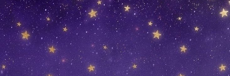 .·:*¨༺w✵nder༻¨*:·.'s banner