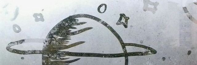 \🪷/'s banner