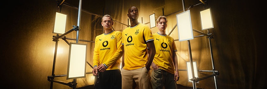 Borussia Dortmund's banner