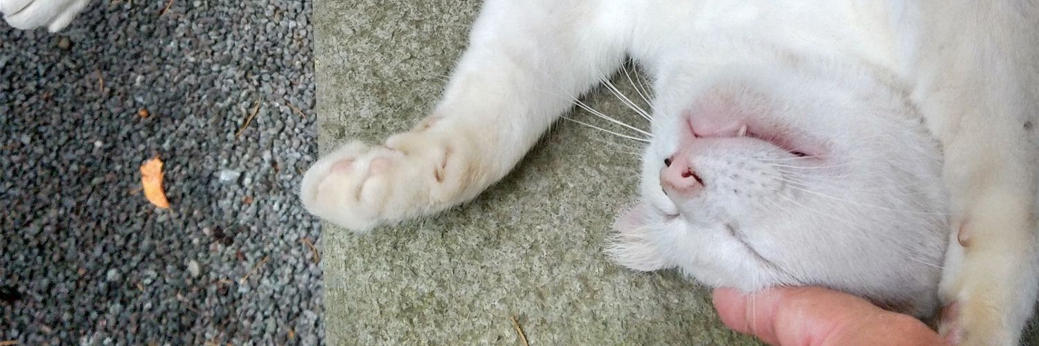 ひらまささん。's banner