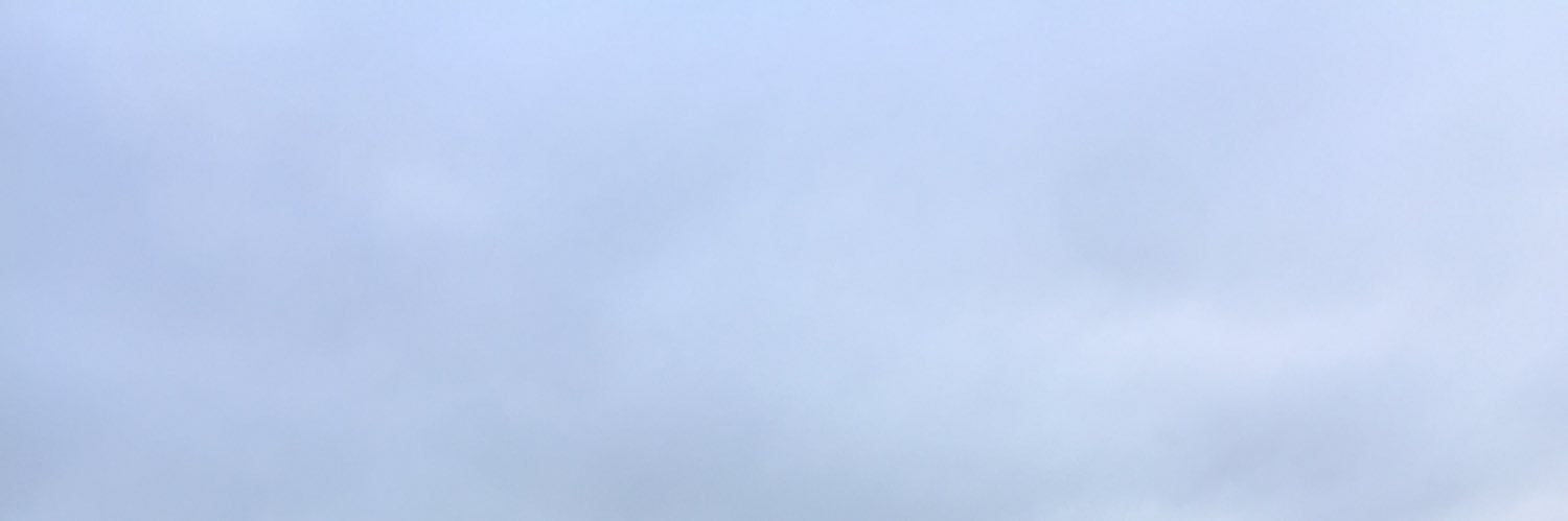 ふぁんろん's banner