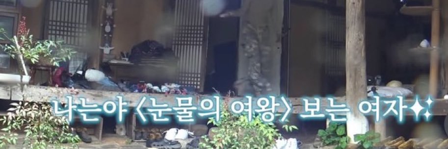 🪻사라🪻's banner