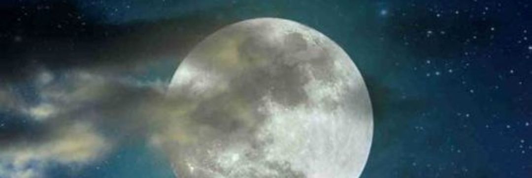 Moon Light's banner